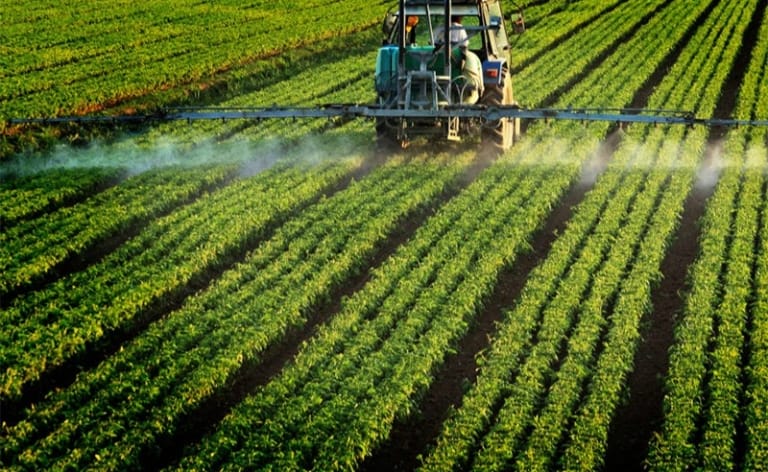 pesticide ilfede istockphoto 800 768x472 1