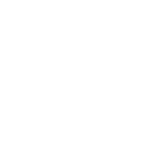bwf dots 2